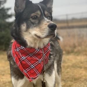 Meet your Posher, Jacob